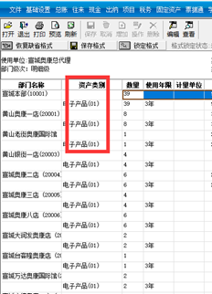 如果您想查询固定资产的明细，这里可以是具体的资产名称。是否有这样一个表可以查询，例如，电子产品-计算机，但一直无法显示它