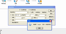 T3凭证查询提示