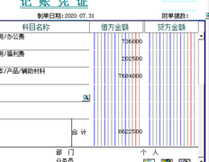 T3，填制凭证时水平线消失。看到图片了吗