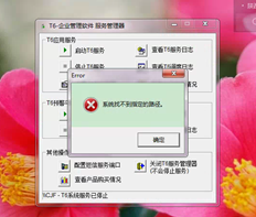 T6服务启动错误