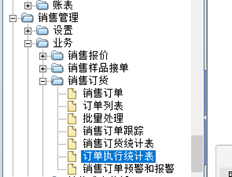 系统中的哪个表可以满足订单到发货的每日记录？