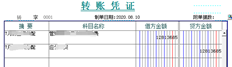 T3填写凭证后，明细账中会出现两条相同的记录，并汇总在总额中