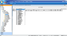 T6客户明细账