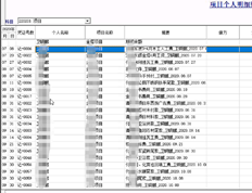 T3 11.1项目个人明细账