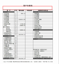 T3财务报表打印