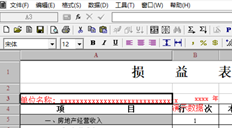 如何在报表上设置公司名称公式？