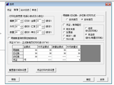 T6如何在A4纸上打印10张凭证？