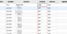 T+2级详细科目类型不正确