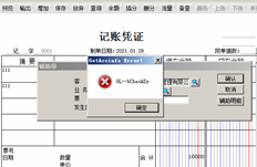 凭证填写中的错误报告