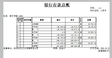 打印总帐时发生了什么