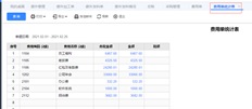 在费用统计表中，如何显示第一级和第二级费用？