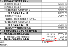 为什么现金流量表是负数？