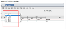 T6如果没有下拉框选项，如何配置客户的明细账？
