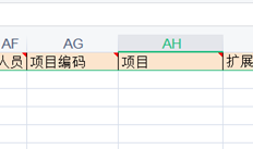 T+16.0专属云，这个项目意味着什么？是否有与现金流量相对应的项目？（现金流量项目）