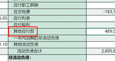 T+16.0专属云，我的资产负债表和账户资产负债表的金额正确吗？为什么？