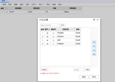 T+项目列设置