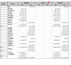 为什么本期T3资产负债表中没有借贷