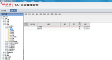 T6中的明细分类账不显示