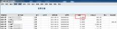 发票日报显示问题