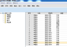 T6自定义项可以自己添加吗？