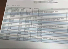 在哪里可以查询此格式的明细分类账？