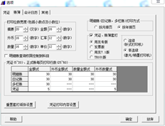 T3账簿打印