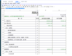 UFIDA T+损益表的季度报告不能采用