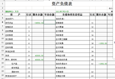 我输入了期初余额，但未反映在资产负债表中