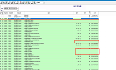 T3项目管理明细账列表数据丢失