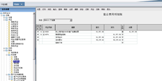 查询明细账累计金额