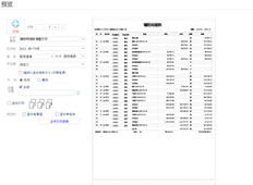 设置和打印T+辅助明细账时，根据纸张大小自适应。设置后，但不支持按模板预览。我不知道为什么