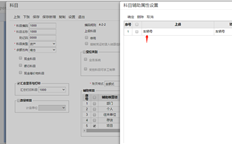 用友T+导入账户时，需要将账户设置为项目核算。同时，只要录入了项目中的车号类别，除了物料核算录入1外，如何在模板中设置车号类别？