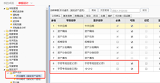 固定资产卡片已自定义自定义项目车牌号。如何导入此自定义项而不在导入模板中看到它？