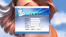 T3流行版本10.8plus2