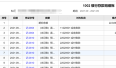 此明细分类账按对方科目展开。是否可以显示补充项目