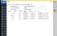 用友T+标准版本为12.3，自由项不可勾选