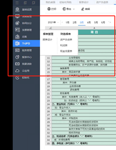 您好，您有UFIDA T+在线云财税季度报告吗