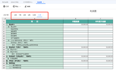 是否有总结所有月份的利润表？