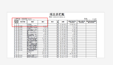 T6项目多栏分类账打印