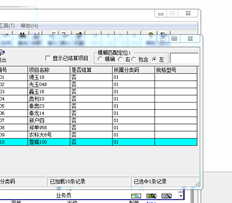 T3项目管理增加了规格和型号。为什么不展示呢